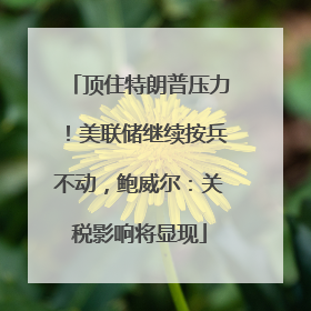 顶住特朗普压力！美联储继续按兵不动，鲍威尔：关税影响将显现