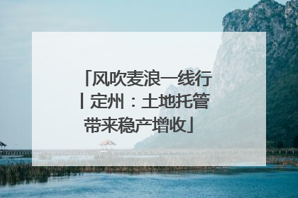 风吹麦浪一线行丨定州：土地托管带来稳产增收