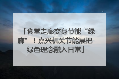 食堂走廊变身节能“绿廊”！嘉兴机关节能展把绿色理念融入日常