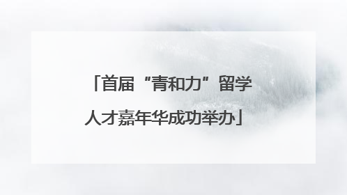 首届“青和力”留学人才嘉年华成功举办