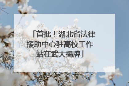 首批！湖北省法律援助中心驻高校工作站在武大揭牌