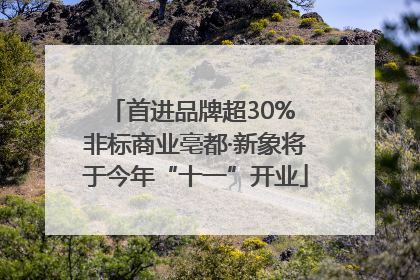 首进品牌超30% 非标商业亳都·新象将于今年“十一”开业
