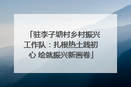 驻李子塘村乡村振兴工作队：扎根热土践初心 绘就振兴新画卷