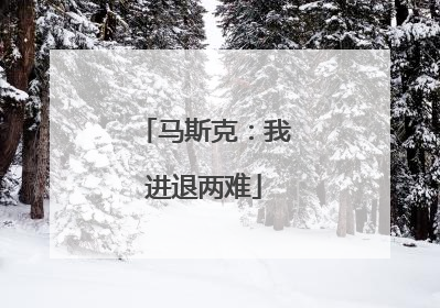 马斯克：我进退两难