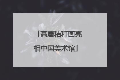 高唐秸秆画亮相中国美术馆
