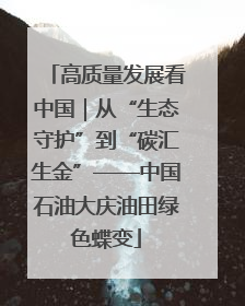 高质量发展看中国｜从“生态守护”到“碳汇生金”——中国石油大庆油田绿色蝶变