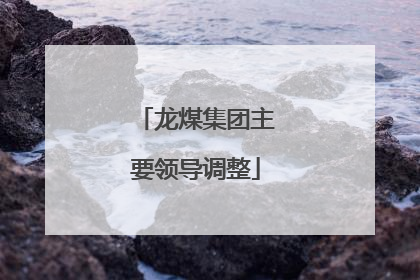 龙煤集团主要领导调整