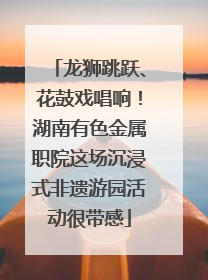 龙狮跳跃、花鼓戏唱响！湖南有色金属职院这场沉浸式非遗游园活动很带感