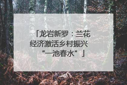 龙岩新罗：兰花经济激活乡村振兴“一池春水”