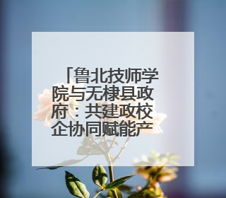 鲁北技师学院与无棣县政府：共建政校企协同赋能产业升级新范式
