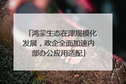 鸿蒙生态在津规模化发展，政企全面加速内部办公应用适配