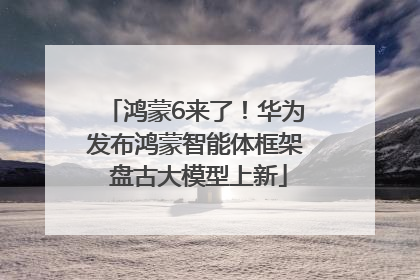 鸿蒙6来了！华为发布鸿蒙智能体框架 盘古大模型上新