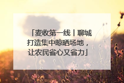 麦收第一线丨聊城打造集中晾晒场地，让农民省心又省力
