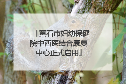 黄石市妇幼保健院中西医结合康复中心正式启用