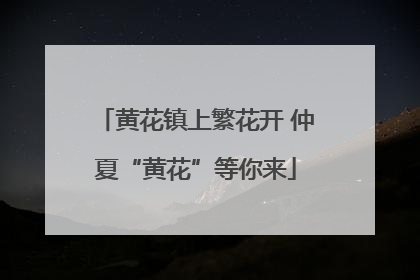 黄花镇上繁花开 仲夏“黄花”等你来