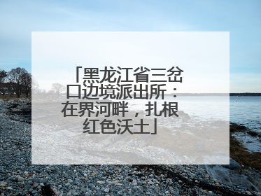 黑龙江省三岔口边境派出所：在界河畔，扎根红色沃土