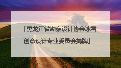 黑龙江省勘察设计协会冰雪创意设计专业委员会揭牌