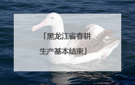 黑龙江省春耕生产基本结束