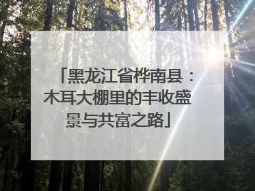 黑龙江省桦南县：木耳大棚里的丰收盛景与共富之路