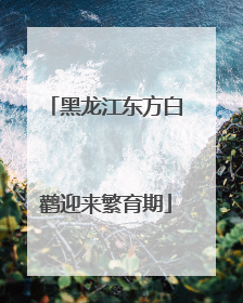 黑龙江东方白鹳迎来繁育期