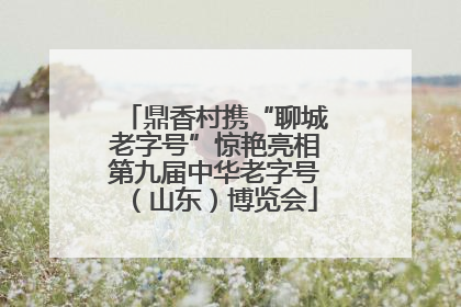 鼎香村携“聊城老字号”惊艳亮相第九届中华老字号（山东）博览会