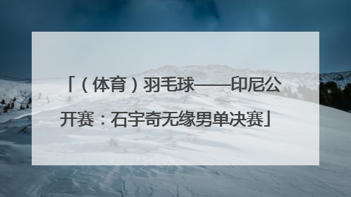 （体育）羽毛球——印尼公开赛：石宇奇无缘男单决赛