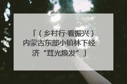 （乡村行·看振兴）内蒙古东部小镇林下经济“茸光焕发”