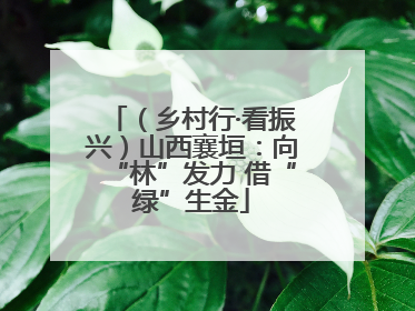 （乡村行·看振兴）山西襄垣：向“林”发力 借“绿”生金