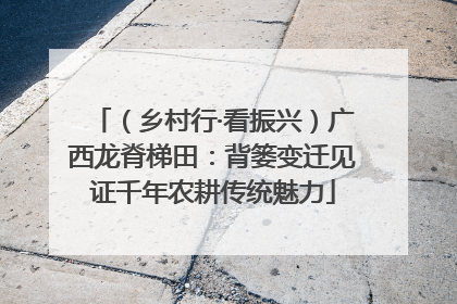 （乡村行·看振兴）广西龙脊梯田：背篓变迁见证千年农耕传统魅力