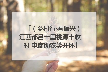 （乡村行·看振兴）江西都昌十里桃源丰收时 电商助农笑开怀
