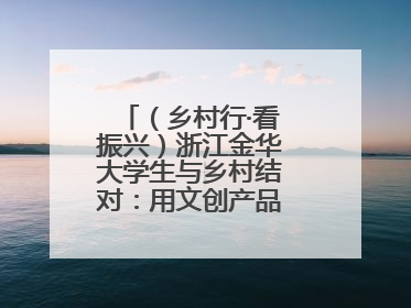 （乡村行·看振兴）浙江金华大学生与乡村结对：用文创产品赋能乡村振兴