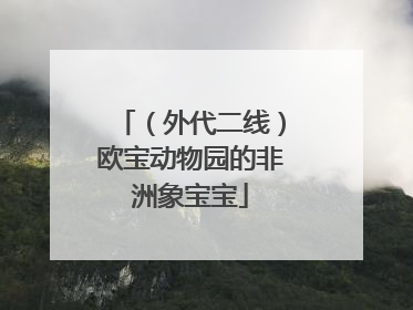（外代二线）欧宝动物园的非洲象宝宝