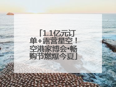 1.1亿元订单+露营星空！空港家博会▪畅购节燃爆今夏