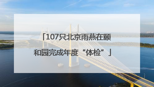 107只北京雨燕在颐和园完成年度“体检”