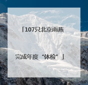107只北京雨燕完成年度“体检”