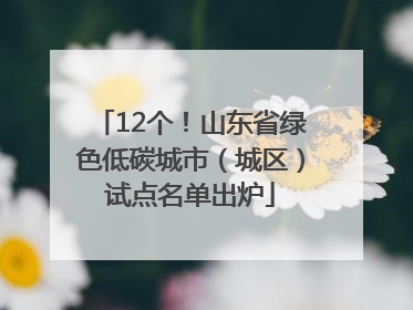 12个！山东省绿色低碳城市（城区）试点名单出炉