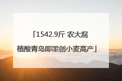 1542.9斤 农大腐植酸青岛即墨创小麦高产