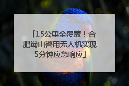 15公里全覆盖！合肥蜀山警用无人机实现5分钟应急响应