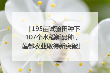 195亩试验田种下107个水稻新品种，莲都农业取得新突破
