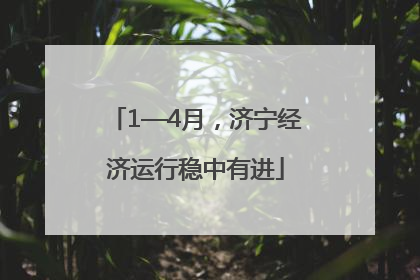 1—4月，济宁经济运行稳中有进