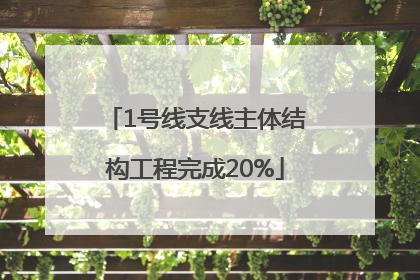 1号线支线主体结构工程完成20%