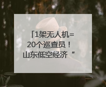1架无人机=20个巡查员！山东低空经济“硬核王炸”亮相青岛，下一个万亿赛道藏在这里