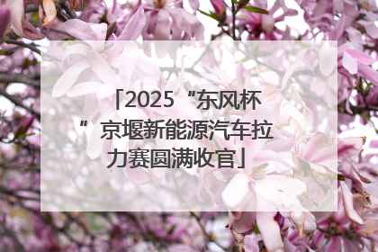2025“东风杯”京堰新能源汽车拉力赛圆满收官