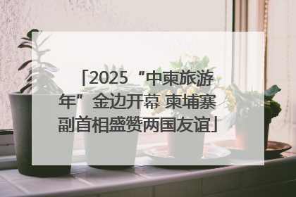 2025“中柬旅游年”金边开幕 柬埔寨副首相盛赞两国友谊