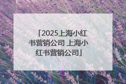 2025上海小红书营销公司 上海小红书营销公司