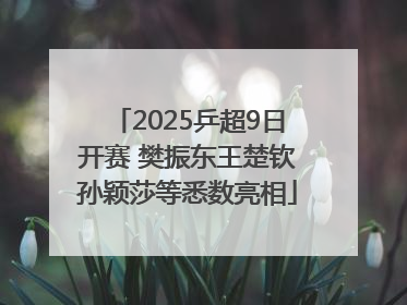 2025乒超9日开赛 樊振东王楚钦孙颖莎等悉数亮相