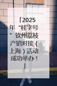 2025年“桂字号”钦州荔枝产销对接（上海）活动成功举办！