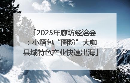 2025年廊坊经洽会：小箱包“圈粉”大咖 县域特色产业快速出海