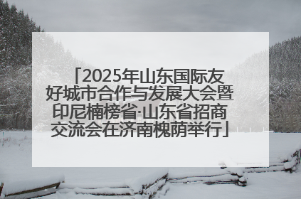 2025年山东国际友好城市合作与发展大会暨印尼楠榜省·山东省招商交流会在济南槐荫举行