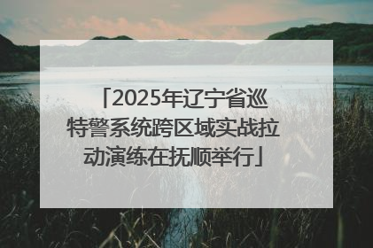 2025年辽宁省巡特警系统跨区域实战拉动演练在抚顺举行